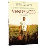 Vendanges