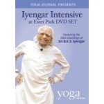 Yoga journal presents: iyengar intensive at estes park dvd set