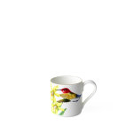 Amazonia tasse � expresso