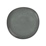 Lave assiette  servir
