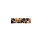 Barrette  cheveux rectangle brune stella green 8cm