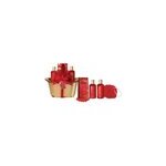 Coffret baignoire spa parisax