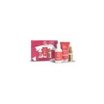 Coffret cheveux colorés fins à moyens invigo color brilliance wella professionals Coffret cheveux colorés fins à moyens invigo color brilliance wella professionals
