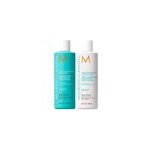 Duo cuir chevelu sec scalp moroccanoil