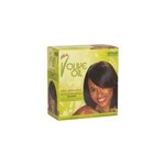 Kit double défrisage regular vitale olive oil Kit double défrisage regular vitale olive oil