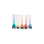 Lot 5 pinceaux coloration multiform frosty sibel