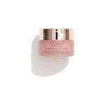 Masque de nuit nourissant pour les lvres gosh skincare 15ml
