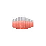 Pack 12 sprays dmlants boucles equave revlon 200ml