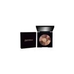 Poudre teint sun powder parisax 50g