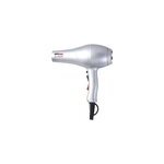 Sche - cheveux rigato 2 ionic argent promex 2000w