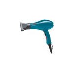 Sche - cheveux rigato 2 ionic bleu promex 2000w