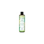 Shampooing actidetox activilong 250ml