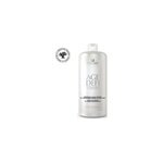 Shampooing restructurant age dfi technology fauvert professionnel 1l