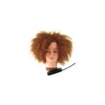 Tte apprentissage withney