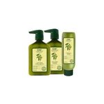 Trio shampooing + conditionneur + masque naturals chi