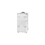 Valise aluminium diamond argent parisax professional