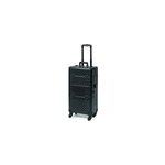 Valise esthtqiue professionnelle 2 en 1