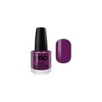 Vernis classique 15 ml mollon pro purple sage - 70