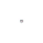 Cartouche red canon pour imageprograf ipf 8000 / 9000 . . . (pfi - 301)