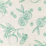 Coupon de tissu agrumes fond ecru - mt - mondial tissus