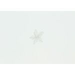cusson thermocollant fleur orchide - frou frou - mondial tissus