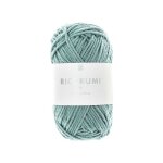 Fil  crocheter creative ricorumi dk aqua 074 coton 57, 5m - rico design - rico design - mondial tissus ...