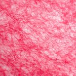 Non tiss� papyrus - linder - mondial tissus