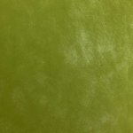 Non tiss vert - mondial tissus
