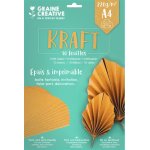 Pochette de 10 feuilles a4 papier kraft pais 220 gr - graine crative - mondial tissus