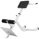 Banc de musculation pour dos blanc gorilla sports