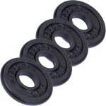Disques de musculation en fonte 2 20 kg 2 kg (4 x 0. 5 kg) scsports