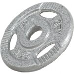 Disque musculation fonte 30 / 31 mm ou 50 / 51 mm avec poign�es argent / 30mm / 1, 25 kg gorilla sports ...