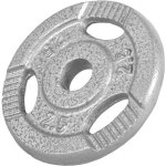 Disque musculation fonte 30 / 31 mm ou 50 / 51 mm avec poign�es argent / 30mm / 2, 5 kg gorilla sports ...