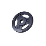 Disque musculation fonte 30 / 31 mm ou 50 / 51 mm avec poignes noir / 30mm / 2, 5 kg gorilla sports