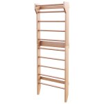 �chelle su�doise en bois physionics