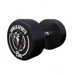 Haltre rond en caoutchouc 25 kg (2x12, 5 kg) gorilla sports