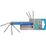 Bgs diy jeux de cls mles torx - allen (ref: 7848)