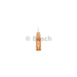 Bosch fusible (de voiture) (ref: 1 987 529 028) Bosch fusible (de voiture) (ref: 1 987 529 028)