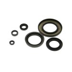 Procodis france kit de bagues d'tanchit, moteur pour citron: berlingo, relay, xantia, jumpy, xsara, ...