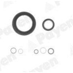 Payen pochette de joints bas moteur pour renault: kangoo, clio, twingo, thalia, modus, wind & dacia: ...