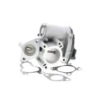 Nippon pieces services vanne egr pour nissan: nv400, x - trail, qashqai & renault: scnic, trafic, master, ...