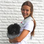 4lazylegs sac de transport pr animaux pocket canvas toile 7kg gris3027