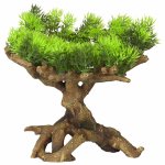 Aqua d'ella dcoration d'aquarium 11 taille m 22x19x23, 5 cm 234 / 432150