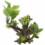 Aqua d'ella dcoration d'aquarium 4 taille m 20, 5x19x23 cm 234 / 432082