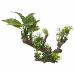 Aqua d'ella dcoration d'aquarium 5 taillexl 33, 5x16x27, 5cm 234 / 432099