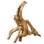 Aqua d'ella racine de mangrove 24, 5x11, 5x25, 5 cm polyrsine