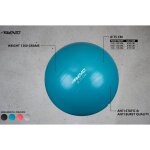 Avento ballon de fitness / d'exercice diamtre 75 cm noir