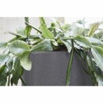 Capi jardini�re urban smooth carr� 30x30x30 cm gris fonc�