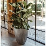 Capi pot à fleurs urban tube bas élégant 55x73 cm gris foncé Capi pot à fleurs urban tube bas élégant 55x73 cm gris foncé