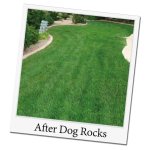 Dog rocks roches contre tache d'urine de chien Dog rocks roches contre tache d'urine de chien